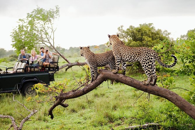 Yala Wildlife Safari
